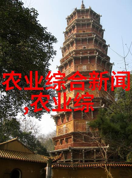 新疆数字乡村发展调研报告2023发布 县域数字乡村建设全面升级